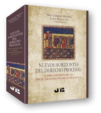 Nuevos horizontes del Derecho procesal "Libro-Homenaje al Prof. Ernesto Pedraz Penalva"