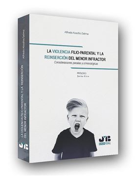 Violencia filio-parental y la reinserción del menor infractor, La "Consideraciones penales y criminológicas"