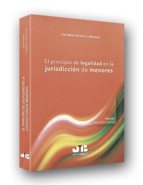 Principio de legalidad en la jurisdicción de menores, El