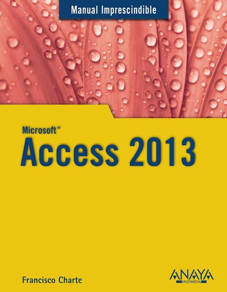 Access 2013 Manual imprescindible