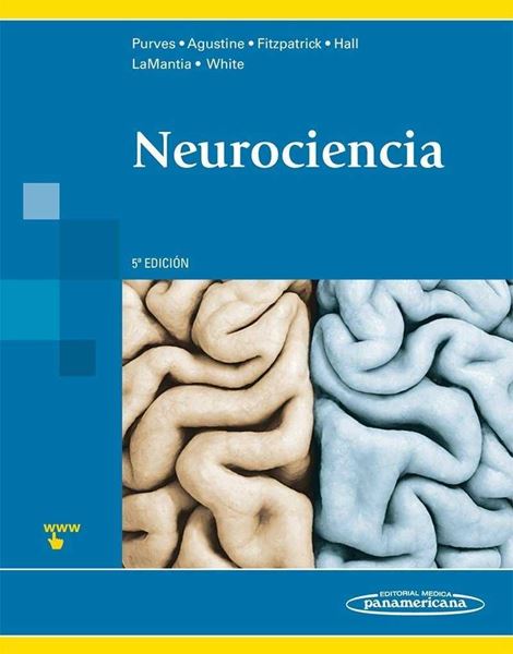 Neurociencia (2015)