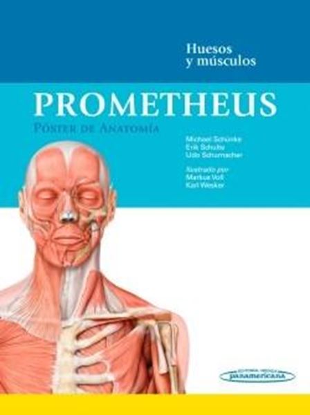 Prometheus. Póster de Anatomía. (59 por 1,59) "Huesos y músculos"