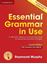 Essential Grammar in Use with Answers and Interactive eBook 4th Edition