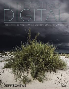 Negativo digital, El "Procesamiento de imágenes Raw en Lightroom, Camera Raw y Photoshop"