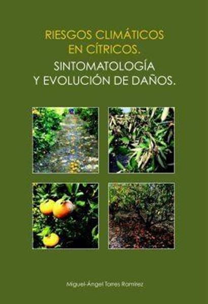 Riesgos Climáticos en Cítricos "Sintomatología y Evolución de Daños"