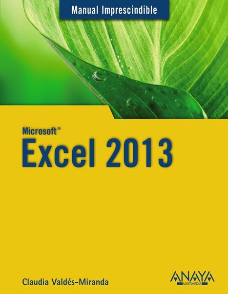 Excel 2013. Manual imprescindible