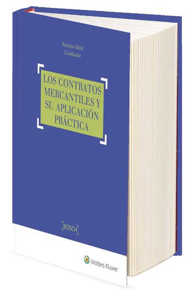 Control societario en los grupos de sociedades, El "Un enfoque práctico y multidisciplinar"