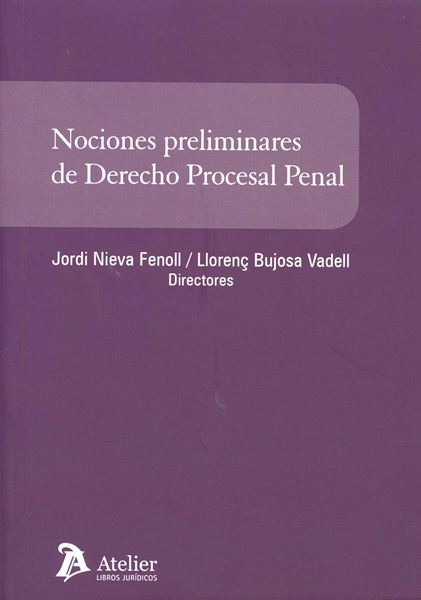 Nociones preliminares de Derecho procesal penal