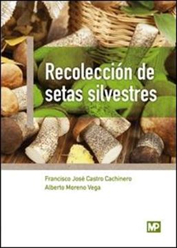 Recolección de setas silvestres