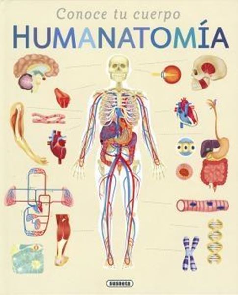 Humanatomía "Conoce tu cuerpo"