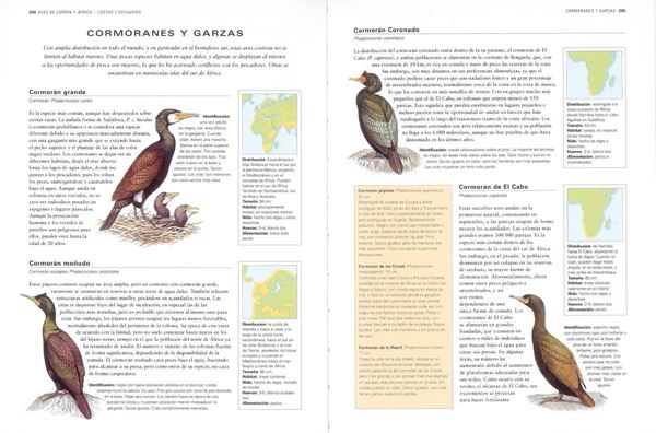 Enciclopedia ilustrada de las aves de España y del mundo