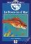 Pesca en el Mar