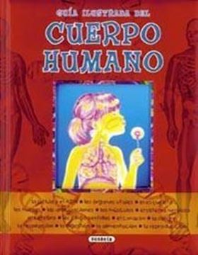 Guía ilustrada del cuerpo humano