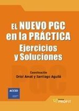 Nuevo PGC en la práctica, El "Ejercicios y soluciones"