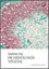 Manual de Histología Vegetal