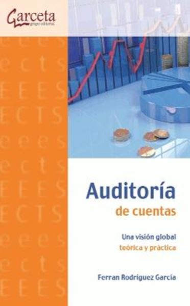Auditoría de Cuentas "Una visión global teórica y práctica"