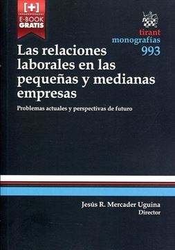 Las relaciones laborales en las pequeñas y medianas empresas "Problemas actuales y perspectivas de futuro"