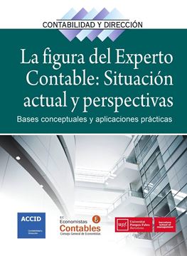 La figura del experto contable: situación actual y perspectivas "Bases conceptuales y aplicaciones prácticas"