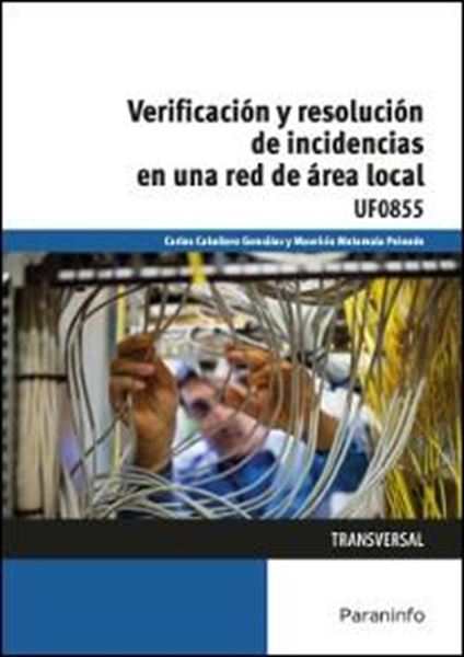 Verificación y resolución de incidencias en una red de área local