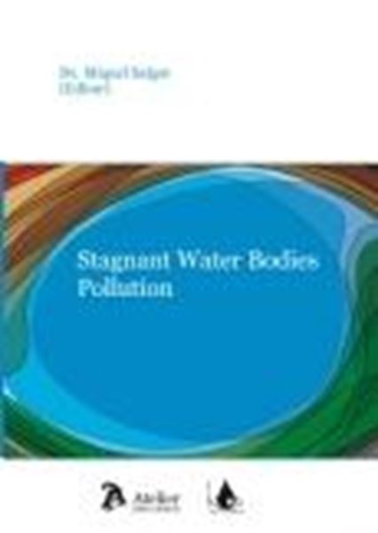 Stagnant Water Bodies Pollution