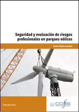 Seguridad y Evaluación de Riesgos Profesionales en Parques Eólicos