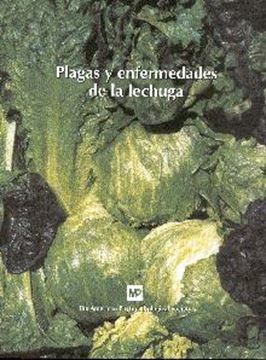 Plagas y Enfermedades de la Lechuga