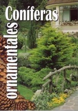 Coníferas Ornamentales