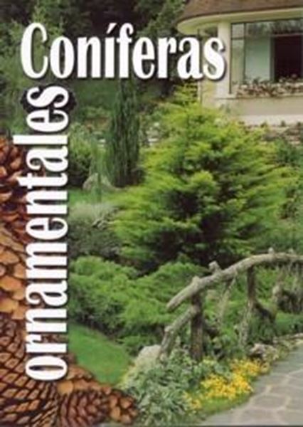 Coníferas Ornamentales