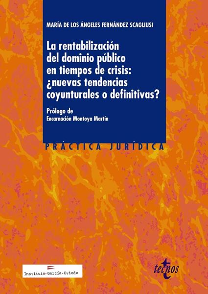 La rentabilización del dominio público en tiempos de crisis:¿nuevas tendencias c