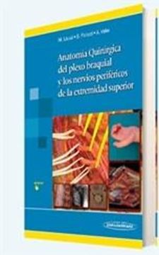 Anatomía Quirúrgica del Plexo Braquial y Nervios Periféricos de la Extremidad Superior