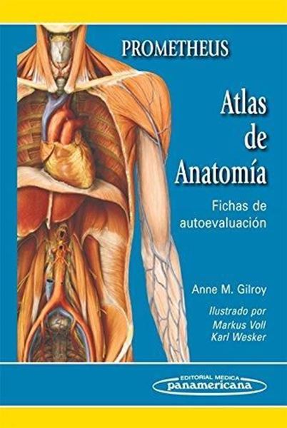 Imagen de Prometheus. Atlas de Anatomía. Fichas de Autoevaluación