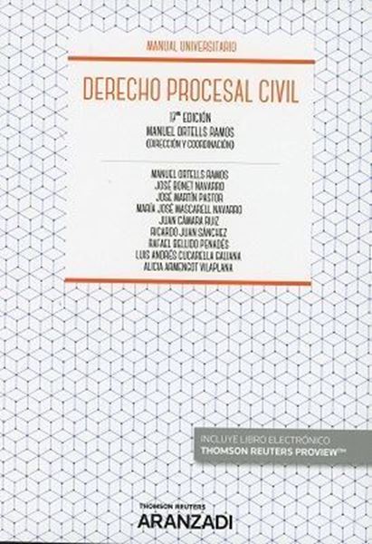 Imagen de Derecho procesal civil, 17ª 2018