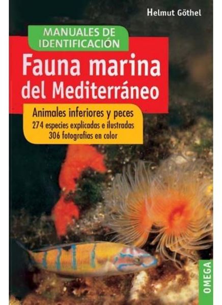 Fauna marina del Mediterráneo "animales inferiores y peces"