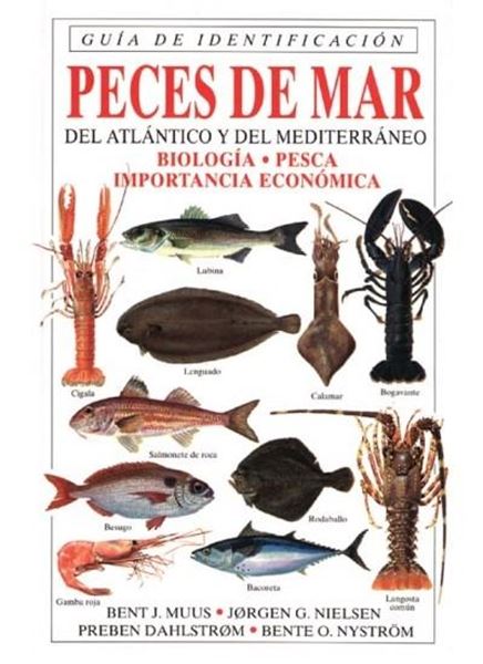 Peces de Mar del Atlántico y del Mediterráneo