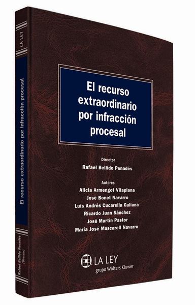 Recurso extraordinario por infracción procesal, El