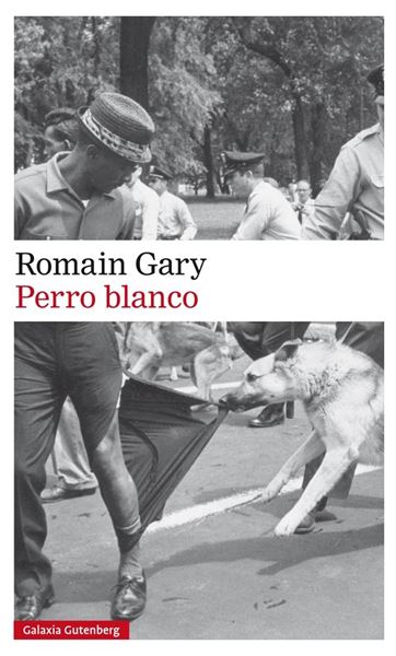 Perro blanco, 2018