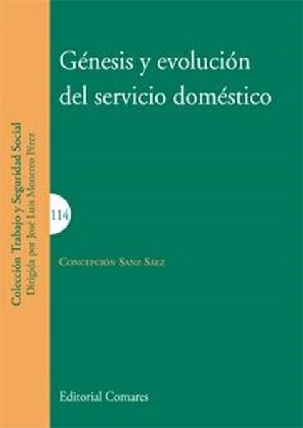 Génesis y evolución del servicio doméstico, 2018