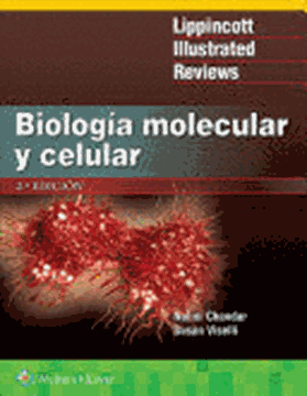 Imagen de Biología molecular y celular 2ª ed, 2018