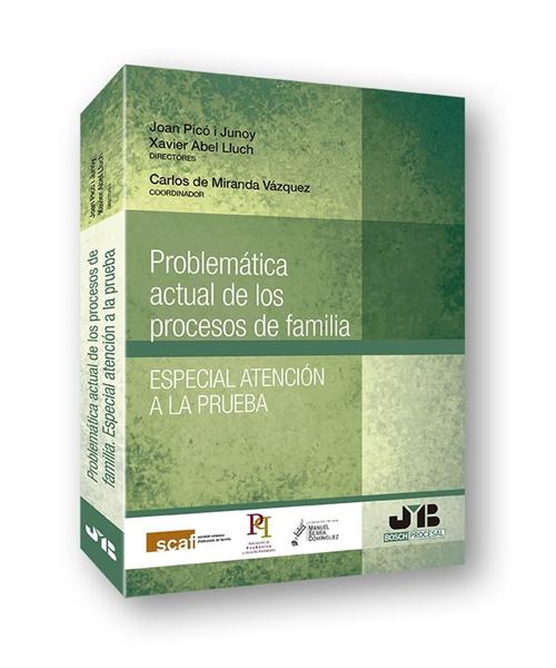 Problemática actual de los procesos de familia, 2018 "Especial atención a la prueba"