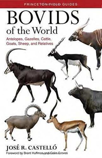Imagen de Bóvidos del mundo. Guía de campo, 2018 "Antílopes, gacelas, toros, cabras, ovejas y otras especies"