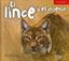 Imagen de El lince y el ingenio "Valores"