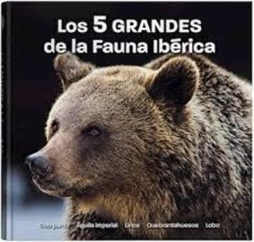 Imagen de Los 5 GRANDES de la Fauna Ibérica "Oso Pardo, Águila imperial, Lince, Quebrantahuesos, Lobo"