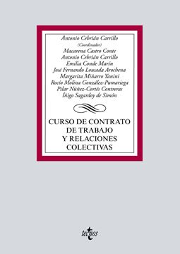 Curso de contrato de trabajo y relaciones colectivas, 2019