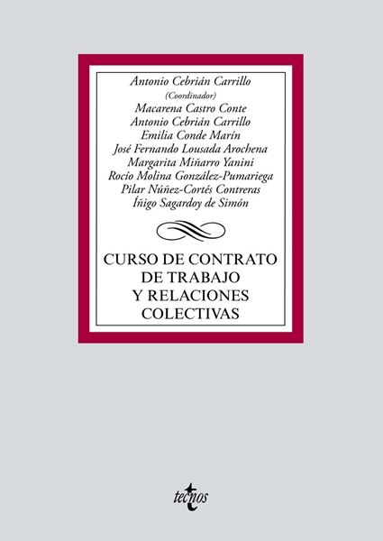 Curso de contrato de trabajo y relaciones colectivas, 2019