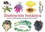 Ilustración botánica "Técnicas contemporáneas para dibujar flores y plantas"