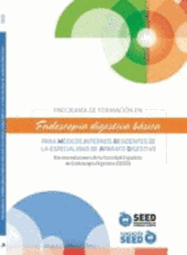 Imagen de Programa de formación en endoscopia digestiva básica para médicos internos residentes de la especialidad "Aparato Digestivo"