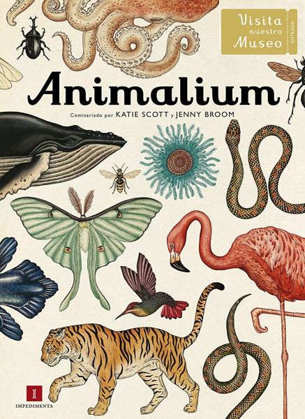 Animalium "Visita nuestro museo"