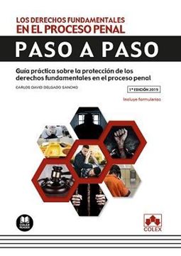 Imagen de Derechos fundamentales en el proceso penal, Los. Paso a paso, 2019 "Guía práctica sobre la protección de los derechos fundamentales en el pr"