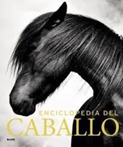 Imagen de Enciclopedia del caballo (2019)