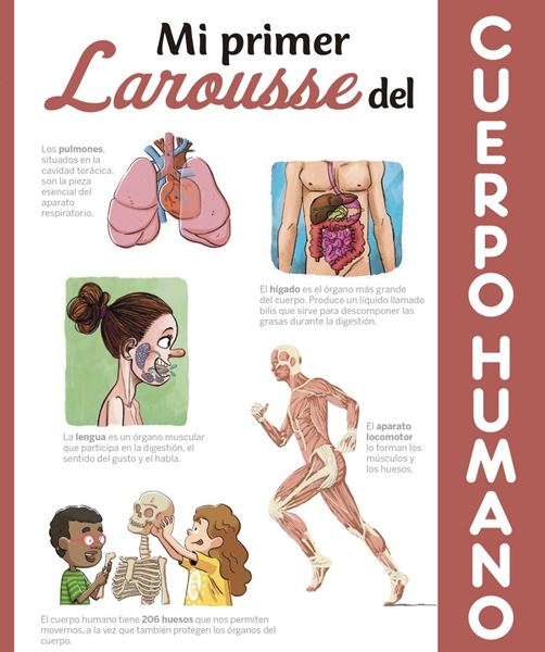 Mi primer Larousse del cuerpo humano